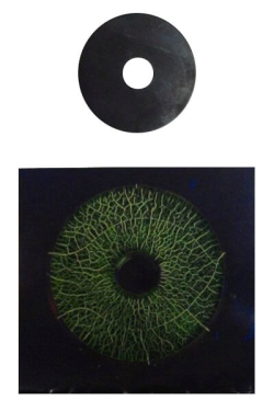 small_image_label